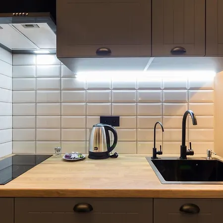 Loft Design Near Maidan Apartment Kyiv