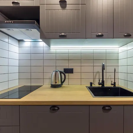 Loft Design Near Maidan *